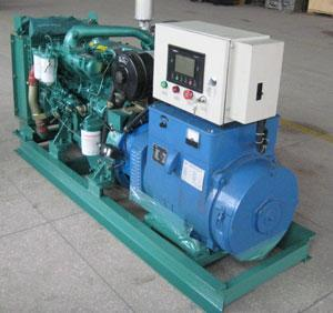 彭水发电机出租